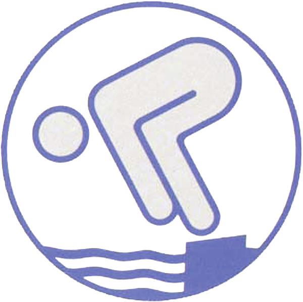 Deutsches Schwimmabzeichen, silber, zum Aufnähen