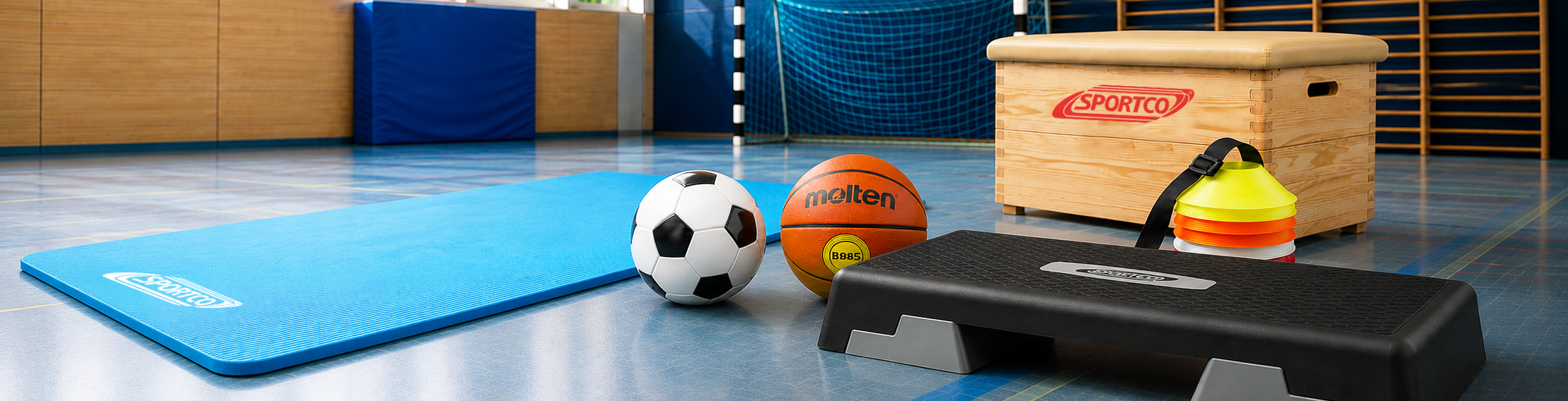 diverse Sportartikel in einer modernen Sporthalle