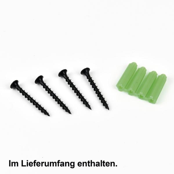 Lieferumfang der Billardqueue Wandhalterung mit Schrauben und Dübeln