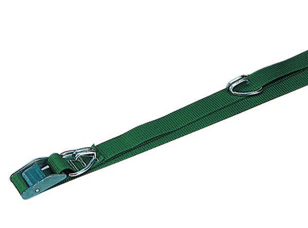 Grüner verstellbarer Gurtspanner mit Metallverschluss und D-Ringen.