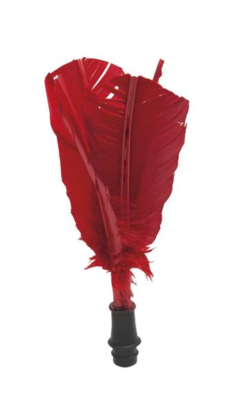 Roter Federkiel mit schwarzem Griff, isoliert auf weißem Hintergrund.