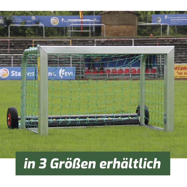 Kleines mobiles Fußballtor mit grünem Netz auf Rasen, ideal für Training und Spiele.
