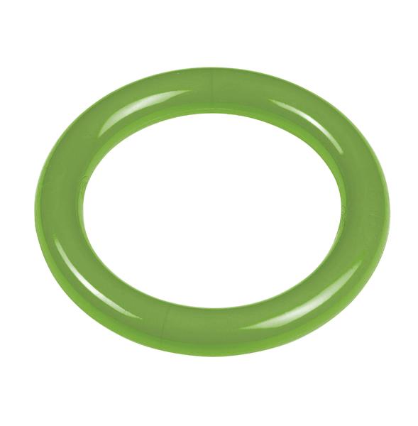 Grüner Taucring für Kinder und Erwachsene, ideal für Pool und Strand.