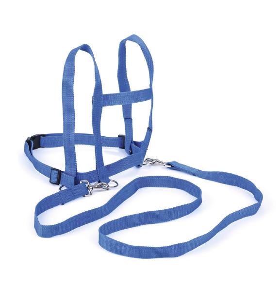 Blaues Pferdeleine Kids aus Nylon, verstellbar und robust.