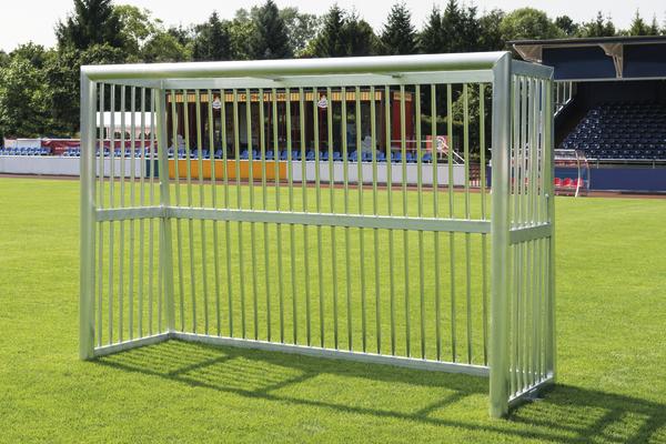 Metallisches Fußballtor ohne Netz auf grünem Spielfeld vor Tribüne und Bäumen.