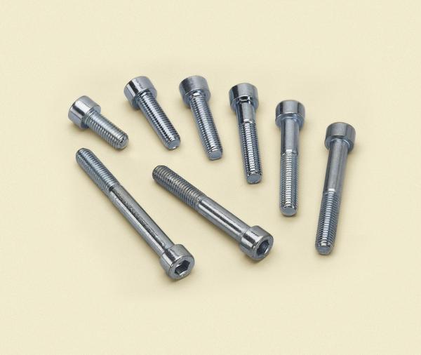 Verschiedene verzinkte Innensechskantschrauben in unterschiedlichen Längen auf hellem Hintergrund.
