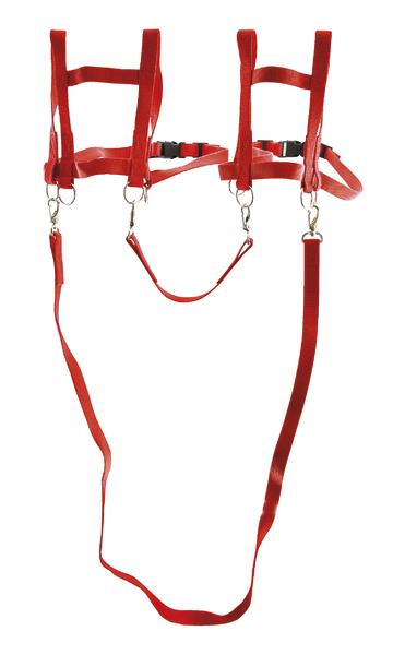 Rotes Geschirr mit verstellbaren Gurten und Metallverschlüssen.