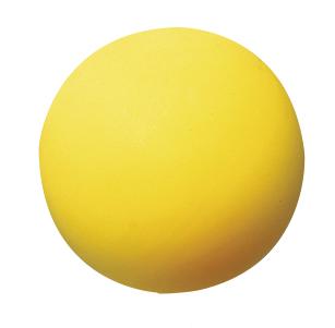 WV-Gymnastikball