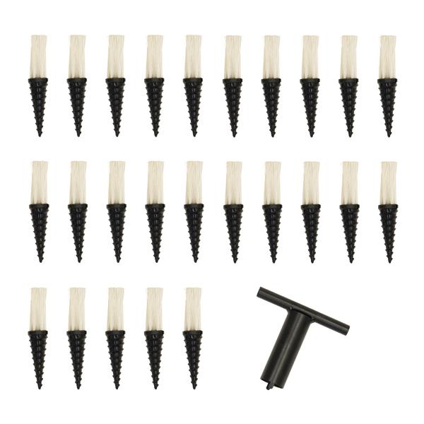 Set mit 25 schwarzen Spiralbürsten und einem Reinigungswerkzeug.