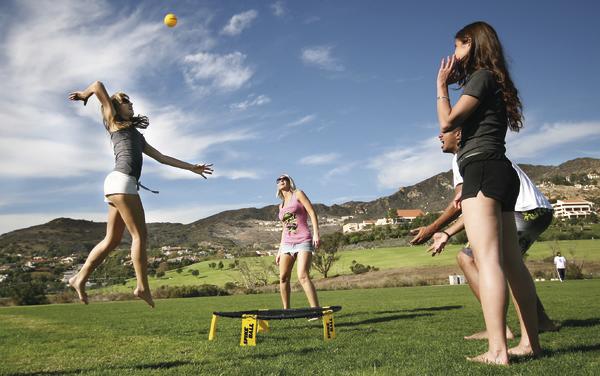 Vier junge Frauen spielen Spikeball auf einer grünen Wiese bei sonnigem Wetter.