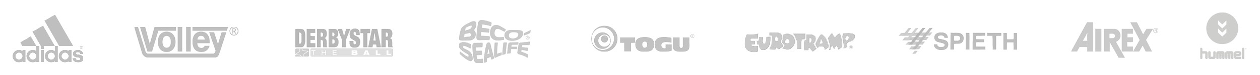 Eine Reihe von Logos von Sportartikelherstellern: Adidas, Volley, Derbystar, Beco Sealife, Togu, Eurotramp, Spieth, Airex und Hummel.