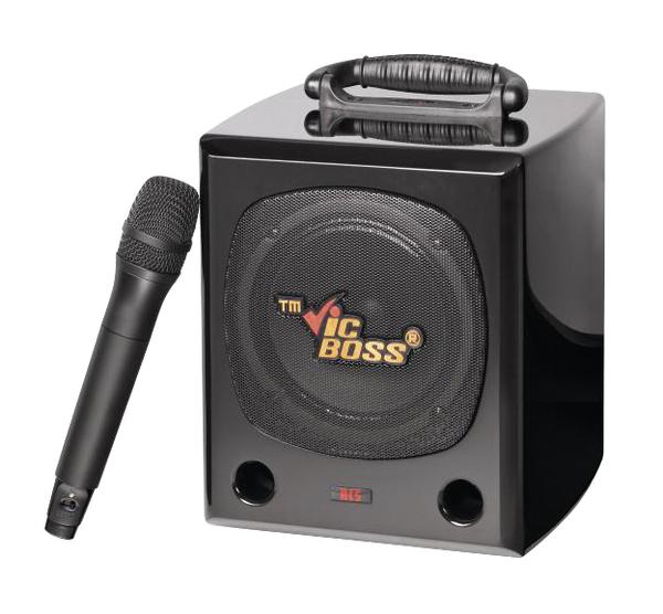 Sound-Center SCHOOL-CUBE, SCHOOL-CUBE 700, 50 Watt (RMS), 1 VHF-Empfangsmodul