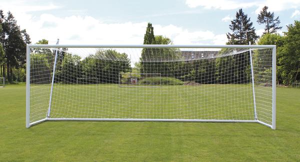 Fußballtor mit Netz auf grünem Rasen vor Bäumen und blauem Himmel.