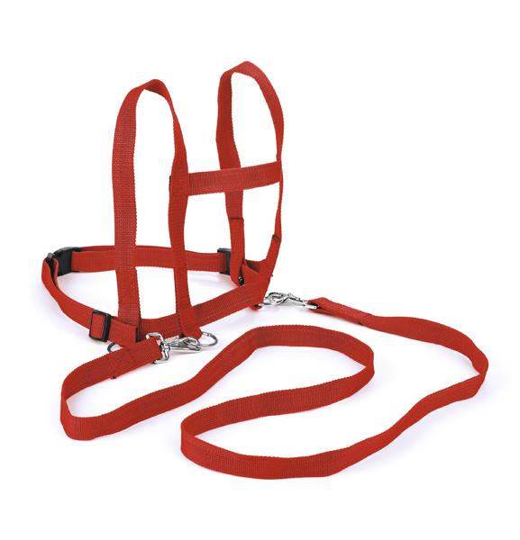 Rote Pferdeline Kids aus Nylon, verstellbar und robust.
