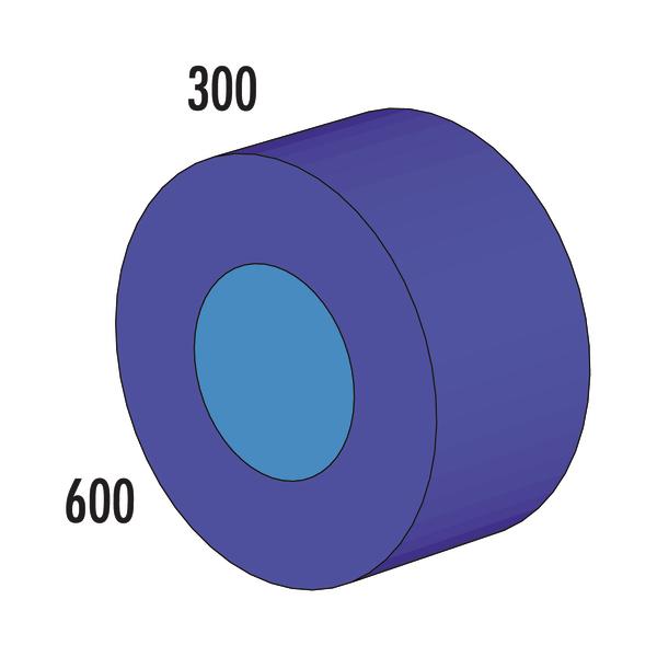 3D-Darstellung eines zweischichtigen Zylinders mit den Maßen 300 und 600.
