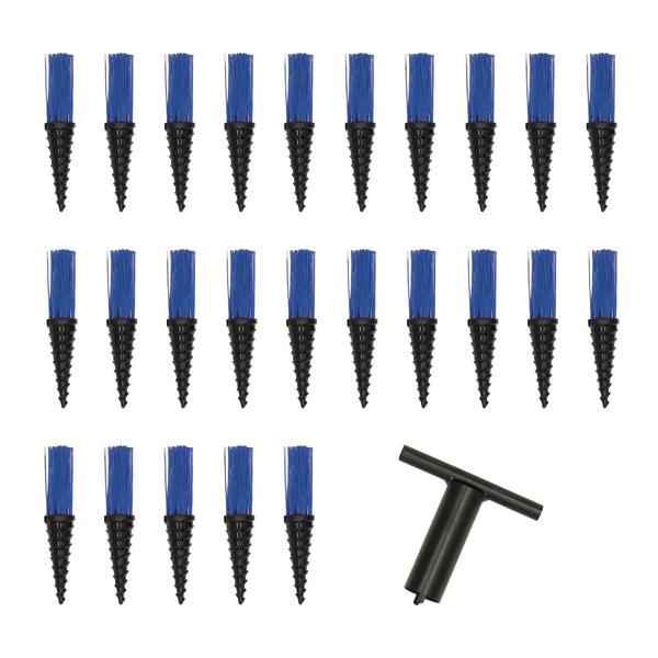 25 schwarze Bürstenaufsätze mit blauen Borsten und ein schwarzer Reinigungsschlüssel.