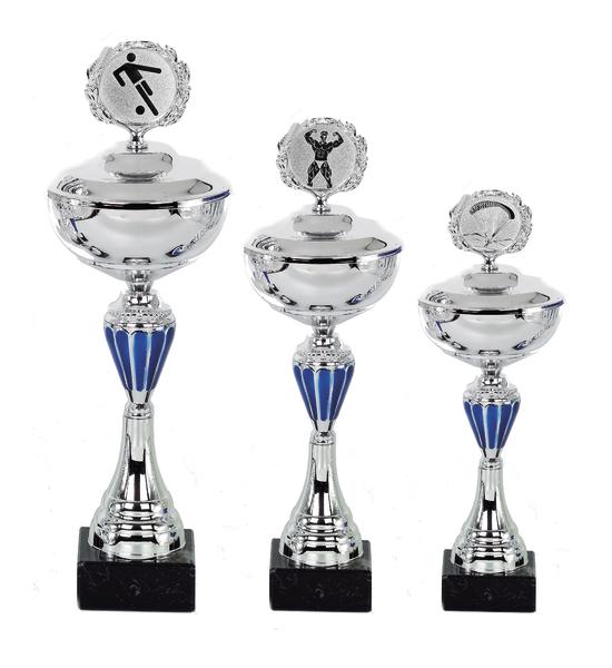 Silberne Pokale in verschiedenen Größen mit Fußball-Motiv und blauem Dekor auf schwarzem Sockel.