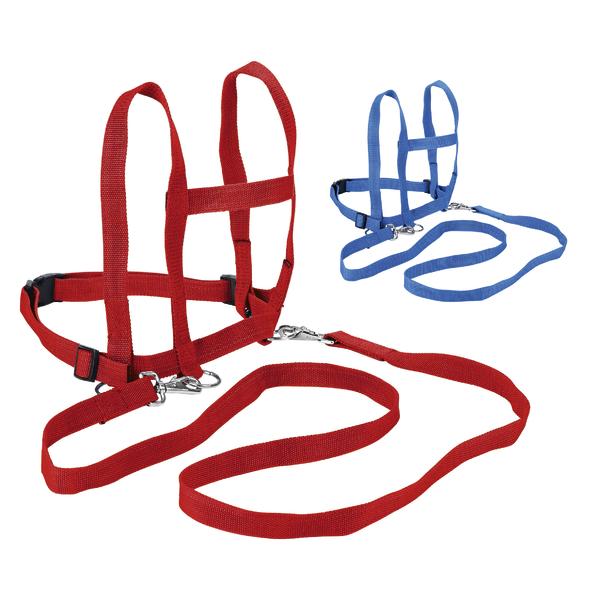 Rotes und blaues Pferdeleine für Kinder aus Nylon, verstellbar und robust.