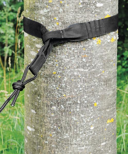 Schwarzer Spanngurt um einen Baumstamm im Wald, befestigt mit Knoten und Seil.