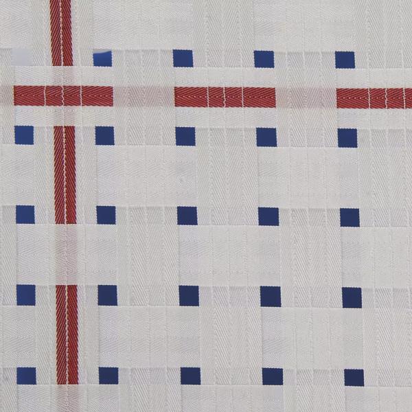 Weißes Gewebe mit blauem Karomuster und roten Streifen, modernes Textildesign.