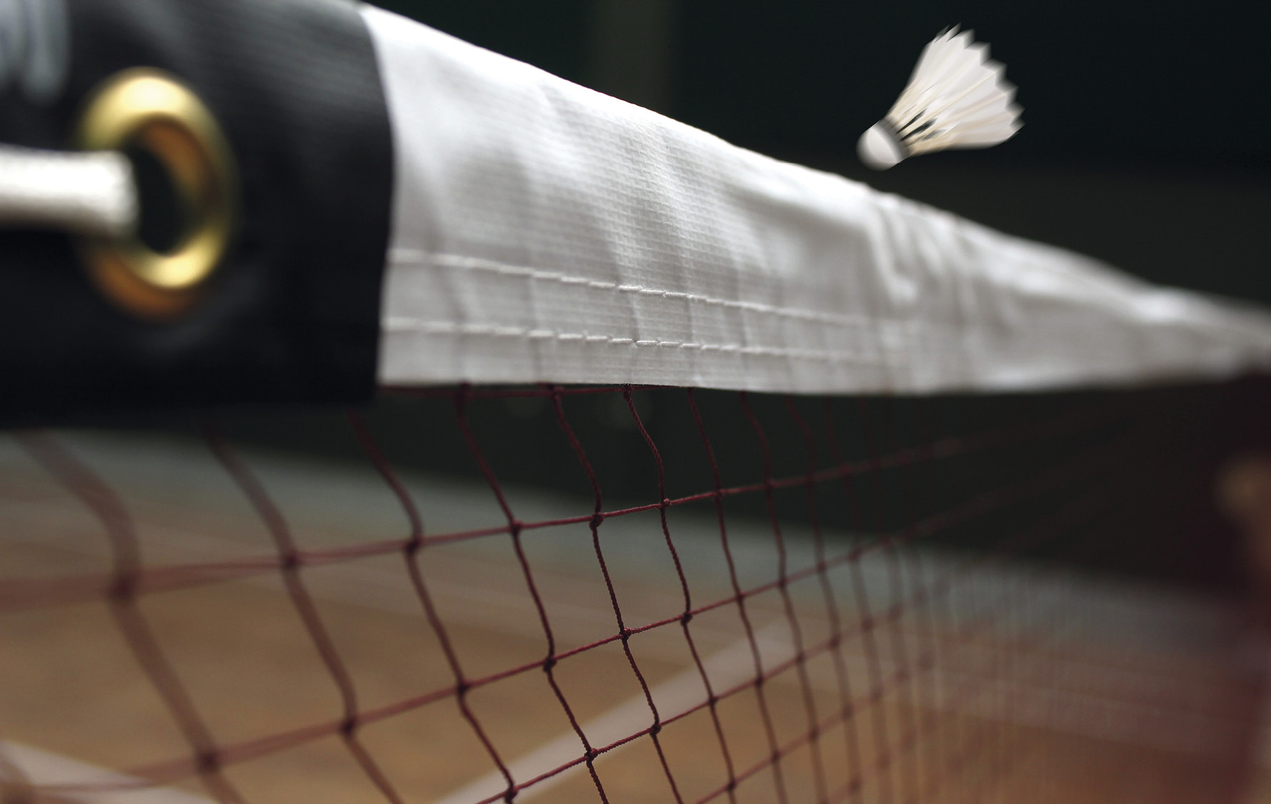 Bild mit einem Anschnitt eines Badmintonnetzes