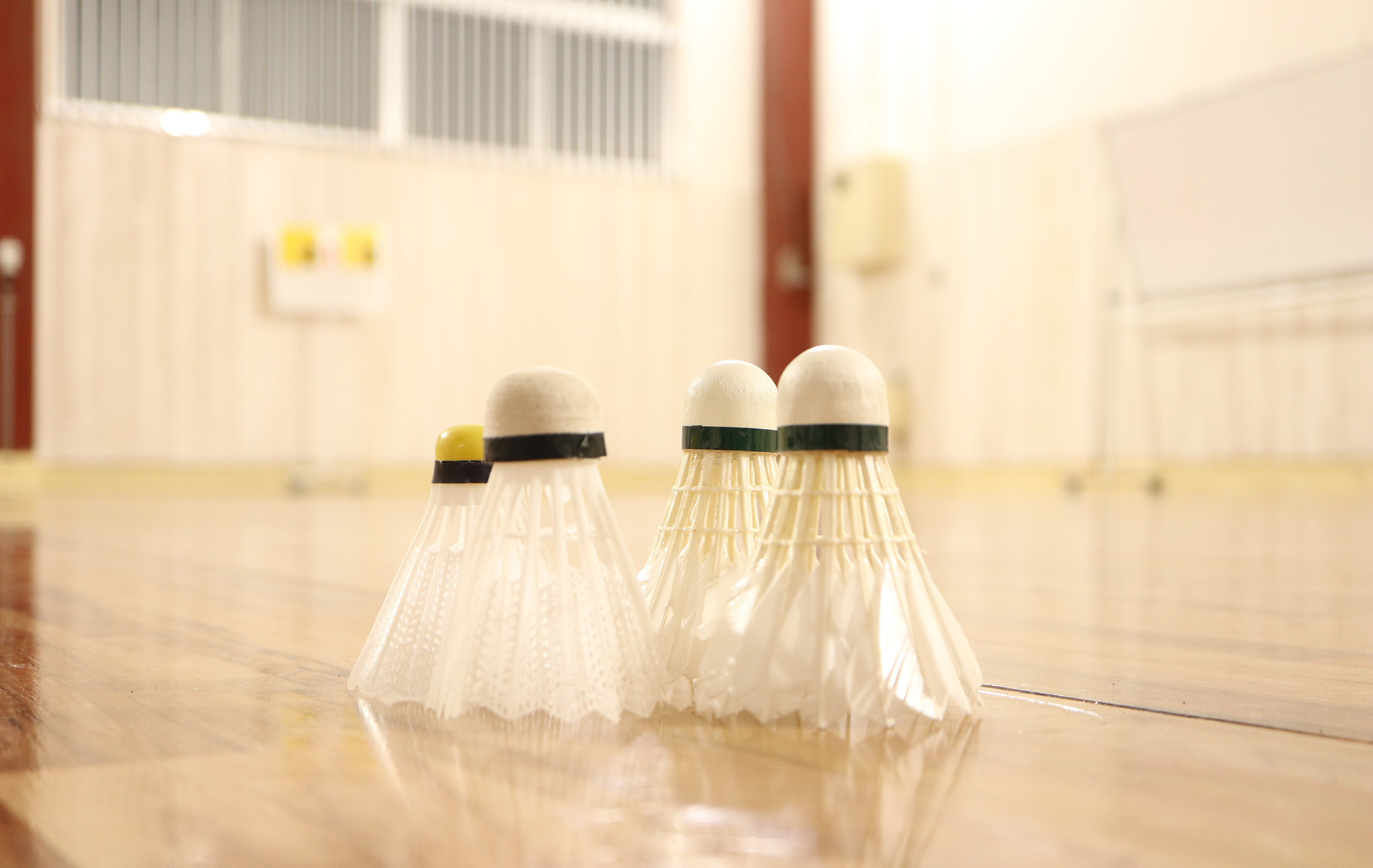 Vier Badmintonbälle liegend auf dem Sporthallenboden